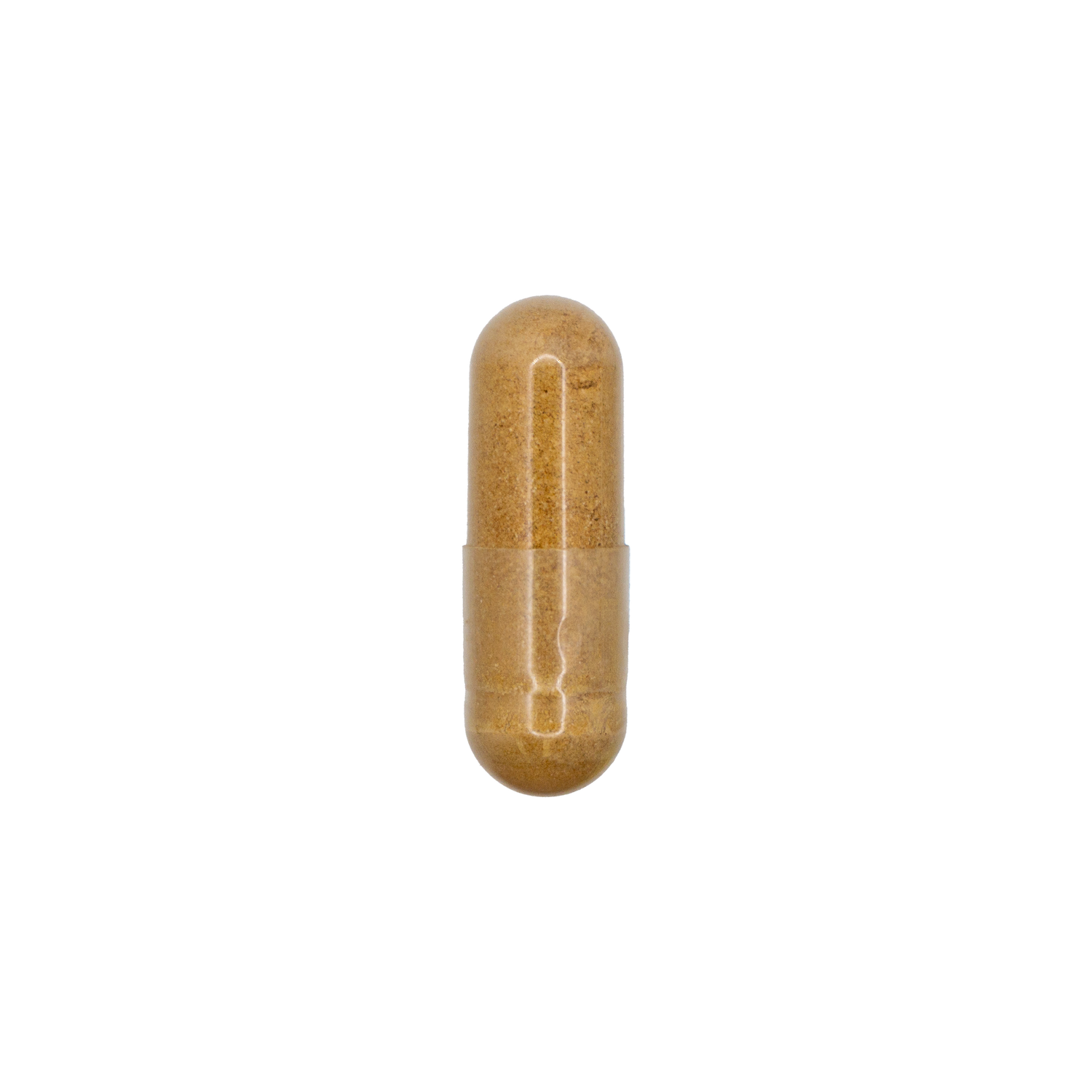 Astralagus