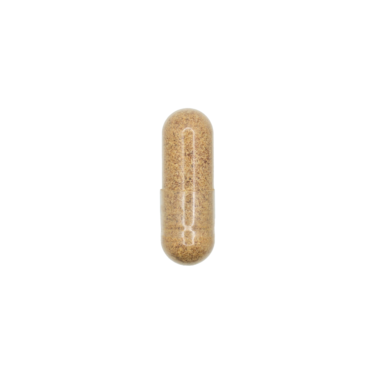 Ginkgo Biloba