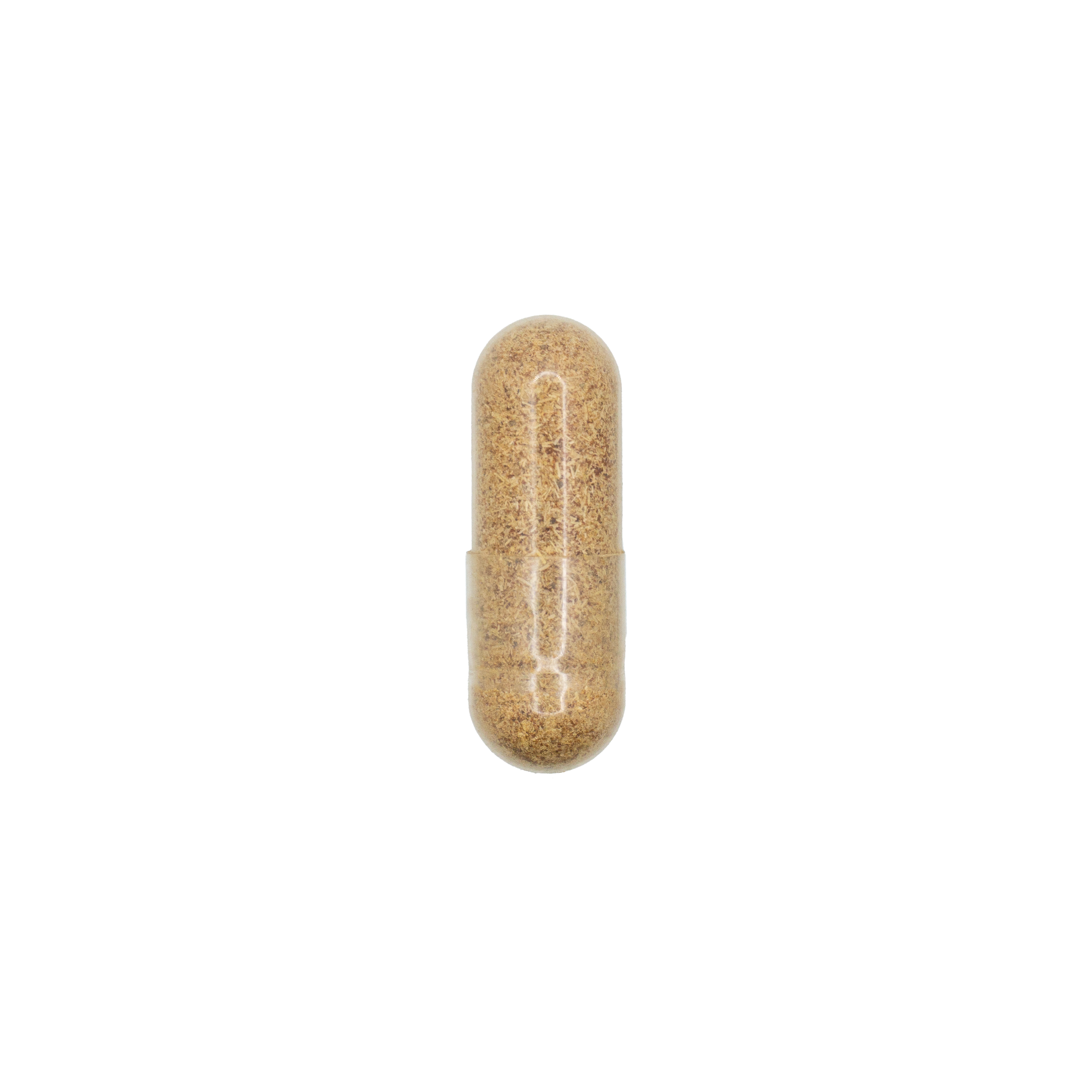 Ginkgo Biloba