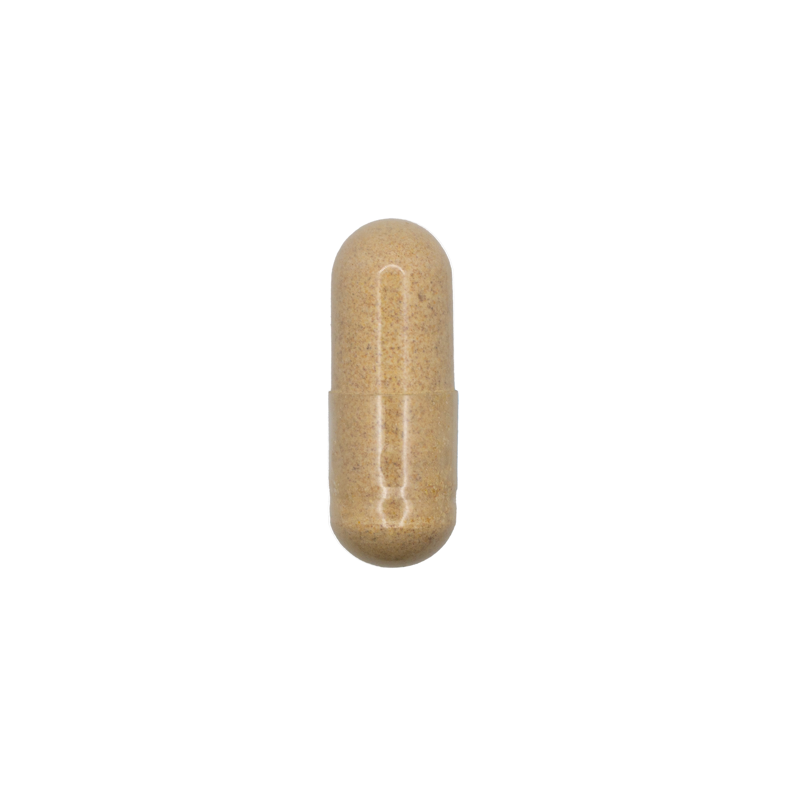Liver Support