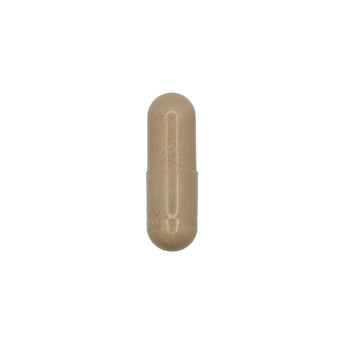 Digestive Comfort + PepZin GI