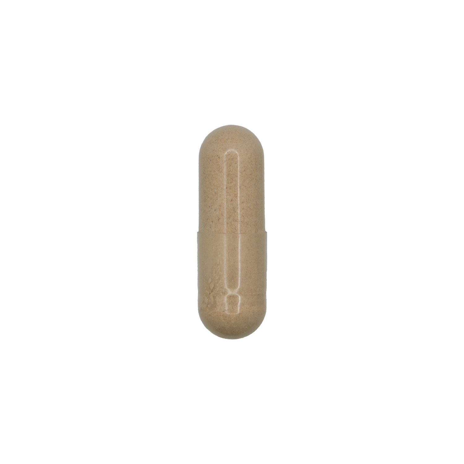 Digestive Comfort + PepZin GI