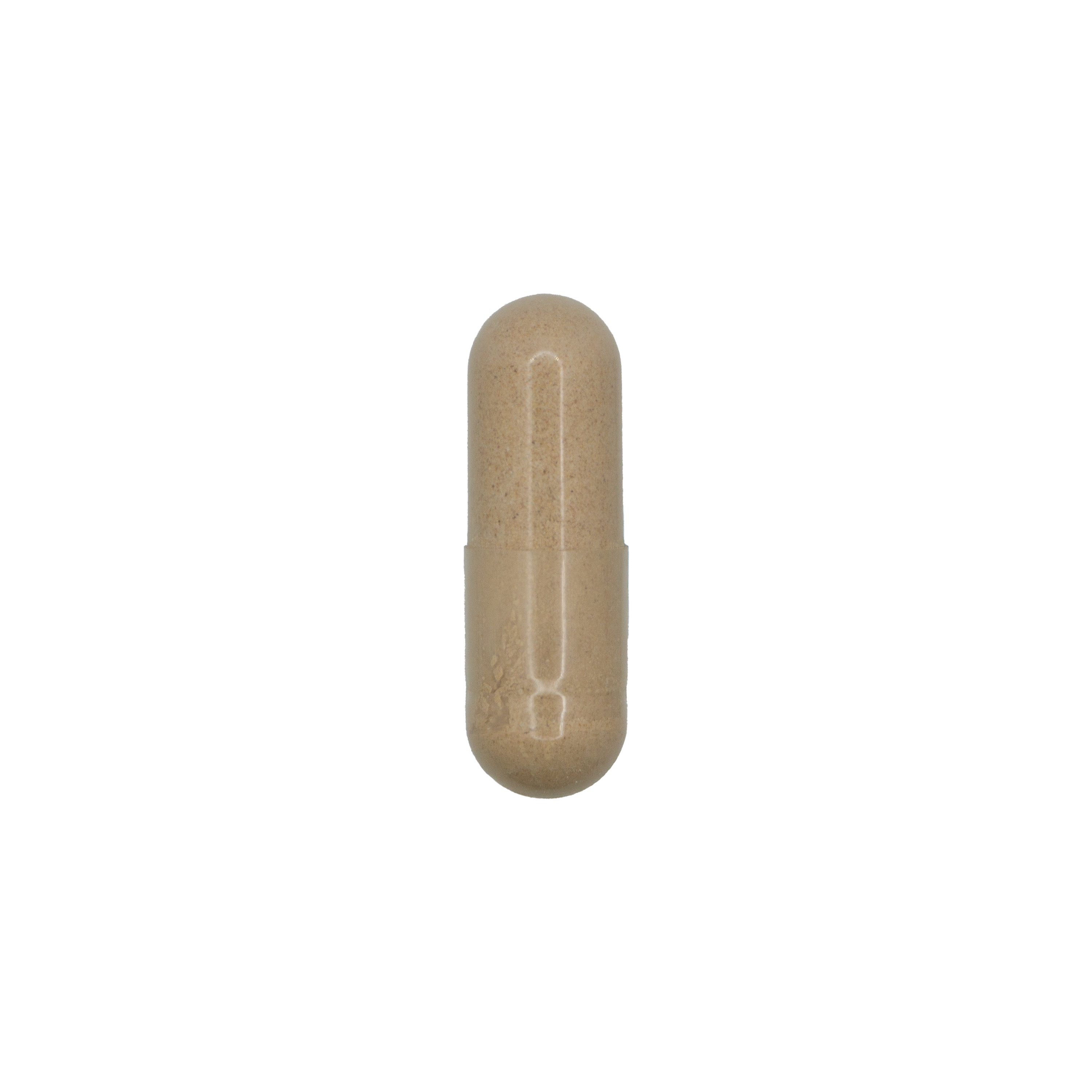 Digestive Comfort + PepZin GI