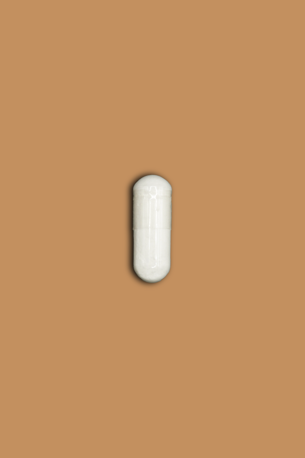 Acetyl L-Carnitine
