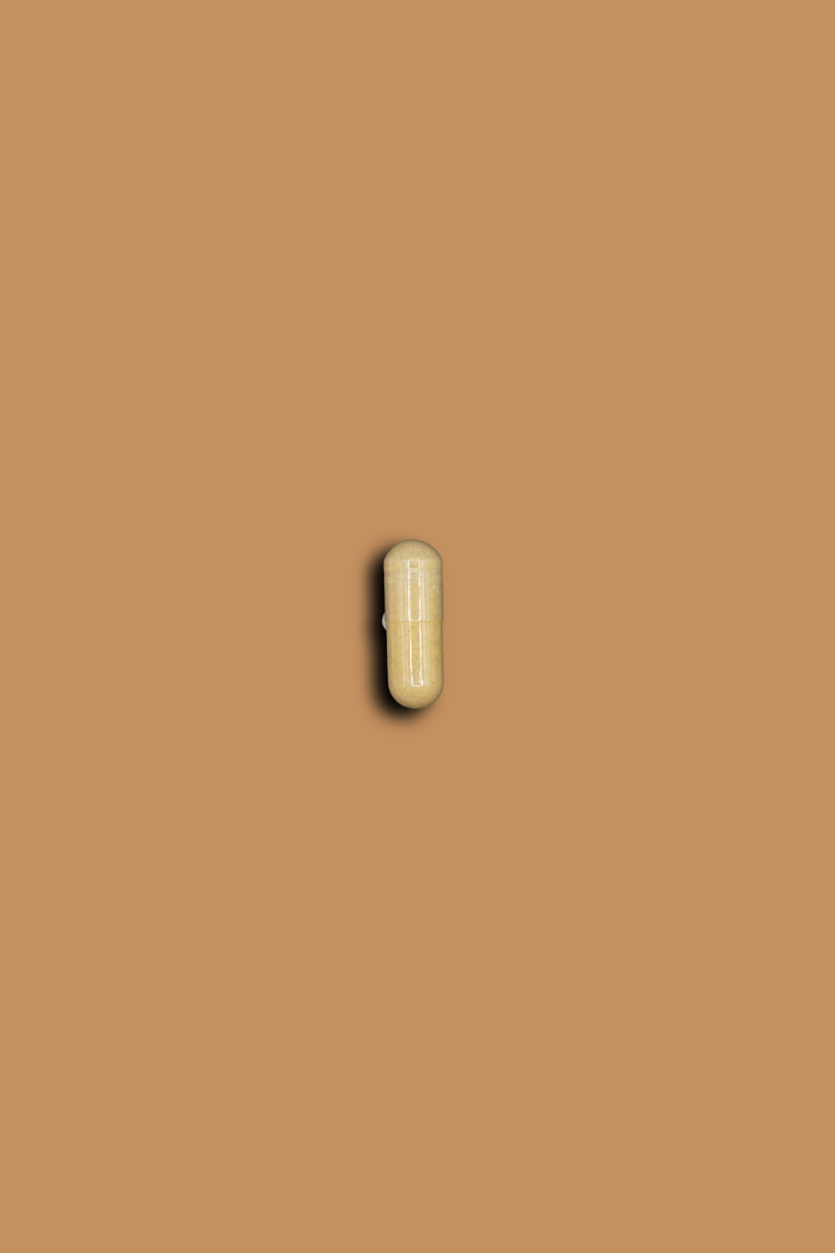 Berberine HCl Capsule